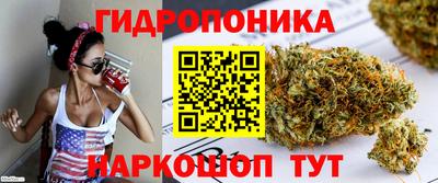 mdpv Гай