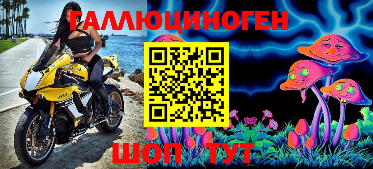 Ижевск  Псилоцибиновые грибы Psilocybe  Вход с VPN 