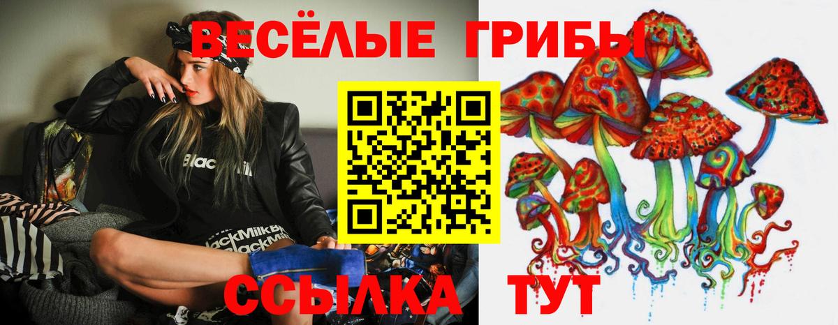 Псилоцибиновые грибы Psilocybine cubensis Ижевск