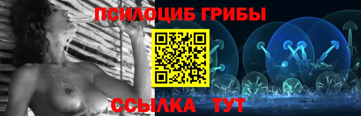 Галлюциногенные грибы Psilocybe  Псилоцибиновые грибы Psilocybe  Ижевск 